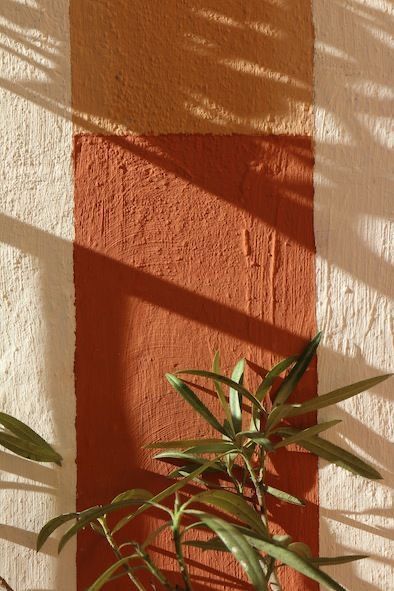 Warm clay wall with plant shadows